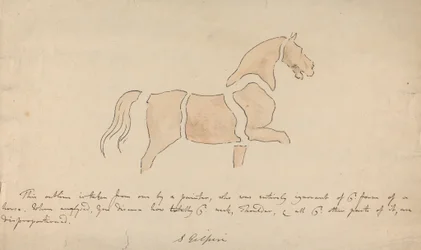 Disproportioneel Paardentekening