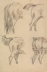 Vier Schetsen van Achterkwartieren van een Paard