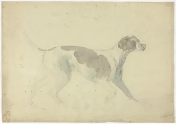 Vossenhond (recto); Schetsen van paard en ruiter (verso)