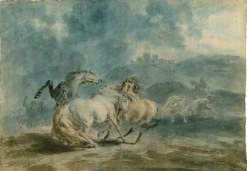 Vechtende paarden