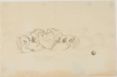 Vechtende paarden
