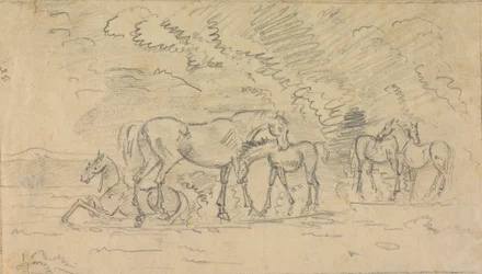 Paarden in een weiland