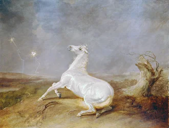 Gek paard