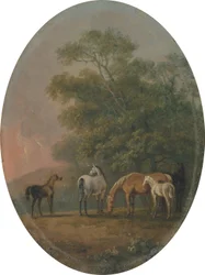 Merries en veulens, c.1770-80
