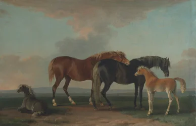 Merries en Veulens, naar rechts gericht