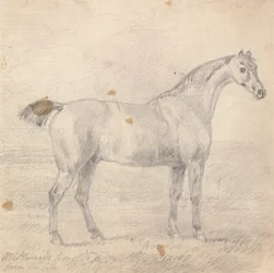 Het paard van meneer Plumer