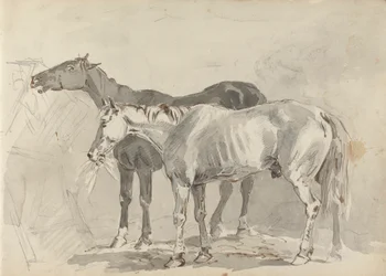 Schetsboektekening