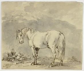Staand Paard met Gedraaide Kop