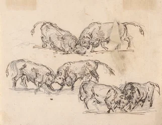 Studies van stierengevechten
