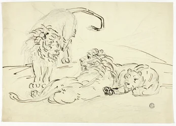 Drie leeuwen