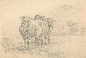 Twee Koeien op een Heuvel