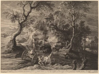 Rotsachtig landschap