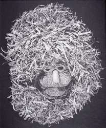 Iroquois masker (maïsschil)
