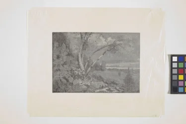 Landschap