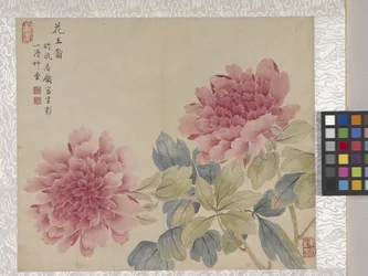 8 Blad Album van Bloemen, midden 1700s
