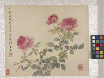 8 Blad Album Van Bloemen, midden 1700s
