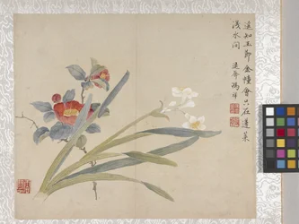 8-bladig album van bloemen, midden 1700s (inkt en kleur op papier)