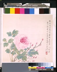 Album van bloemen en vogels
