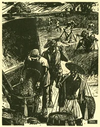 Samenwerkende soldaten en burgers van Sung Ping-heng, soldaten en boeren werken samen om tarwe terug te winnen. Houtgravure, in "Houtsneden van oorlogstijd China 1937-1945", Shanghai