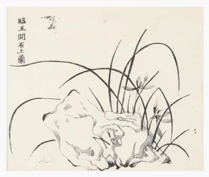 Tien Bamboe Serie