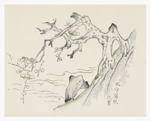 Tien Bamboe Serie