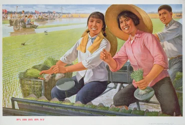Zaailingen verplanten met een machine is goed, propagandaposter uit de Chinese Culturele Revolutie