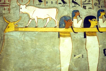 Oud Egypte, Schildering, Goden van de onderwereld vastgebonden aan Hathor, goddelijke koe, die de zonneboot sleept, Graf van Ramses I, Thebe