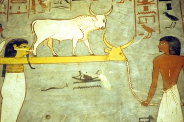 Oude Egypte, schilderij, Graf van Ramses I, Goden van de onderwereld vastgebonden aan Hathor, slepen zonneboot