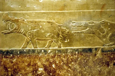 Oud Egypte, muurschildering, Mastaba/graf van Idout, Saqqara, 6e dynastie, nijlpaard bevalt en valt ten prooi aan wachtende krokodil