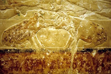 Oud Egypte, muurgravure/schildering, Mastaba/graf van Idout, Saqqara, 6e dynastie, Twee nijlpaarden vechten