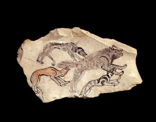 Egyptische oudheid: ostrakon (pottery) in kalksteen met drie honden die een hyena jagen (1300-1070 v.Chr.)