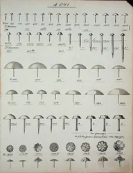 Spijkers, nagels en pinnen, uit een handelscatalogus van huishoudelijke goederen en fittingen, ca. 1890-1910