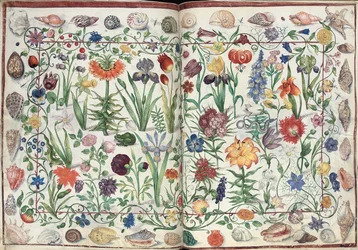 Pagina
