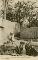 Le Repos du Chamelier, c.1890-1914 (zw/w foto)