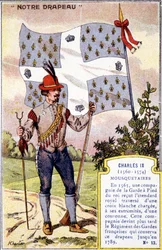 Het vaandel van de Musketiers van Karel IX