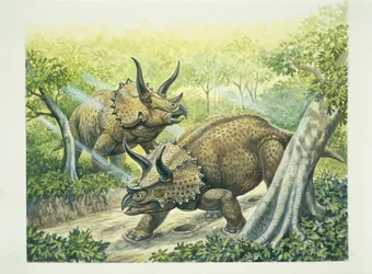 Triceratops horridus, Krijtperiode
