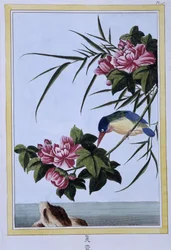 IJsvogel - Japanse prent