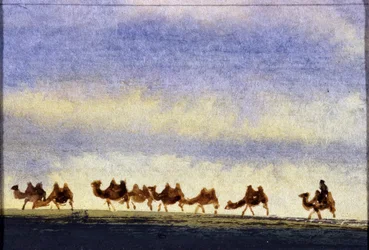 Kameelkudde, Mongolië - Mongoolse Aquarel