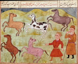 Islamitische kunst: een heer en zijn boerenjongen vangen wilde paarden met een lasso. Perzische miniatuur uit een handschrift van het epische gedicht "Shahnameh" (Shah Nama, Shahnama) (Boek der Koningen) van Ferdowsi (Firdawsi, of Ferdawsi, of Firdousi