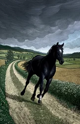 Black Beauty, 2004 (scratchboard, digitaal ingekleurd)