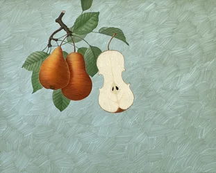 Pyris Stradivarius, 2016 (scratchboard, digitaal ingekleurd)
