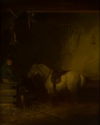 Pony in een Stalinterieur
