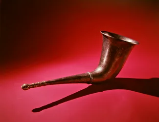 Drinkhoorn met leeuwenkop (zilver & goud)