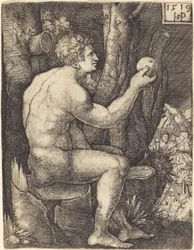 Adam Zittend