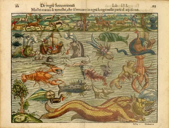 Monsters van Zee  Land... (Monsters van Zee  Land...)