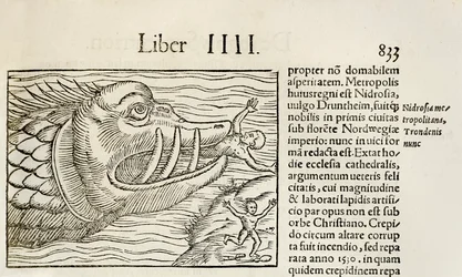 Monsterachtige walvis die mensen verslindt, uit de editie van 1550 van 