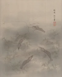 Garnaal Ebi, ca. 1890-92