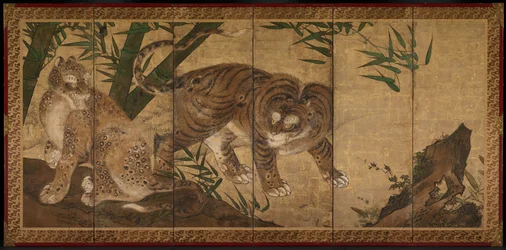 Tijger en luipaard