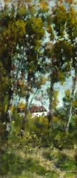 Het bos
