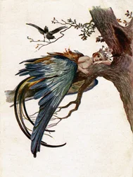 De Blauwe Vogel. Illustratie door J. Solomko, Tsjechië